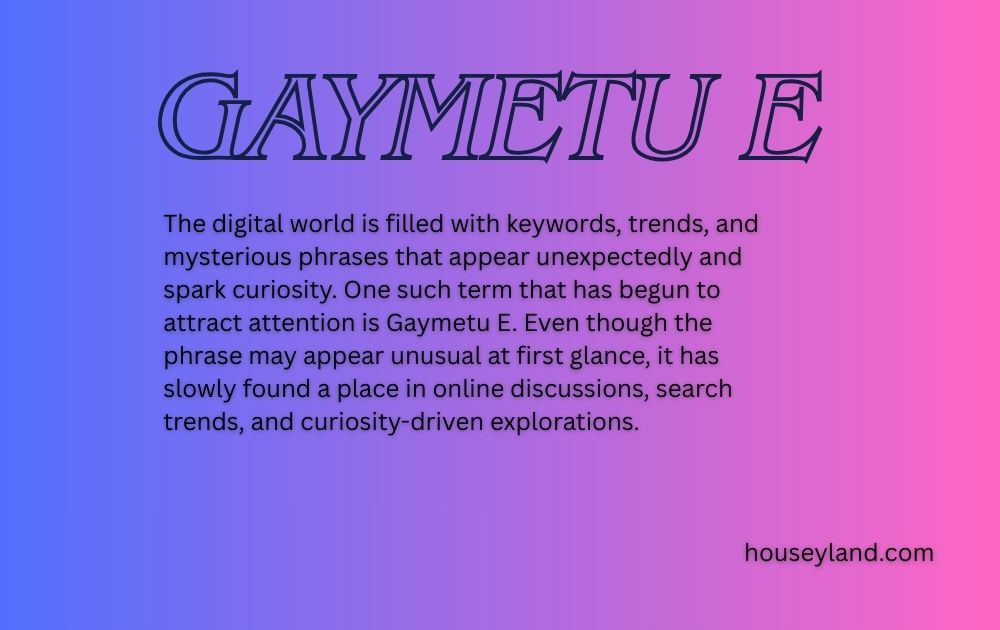 Understanding Gaymetu E – A Deep Dive Into a Digital Mystery